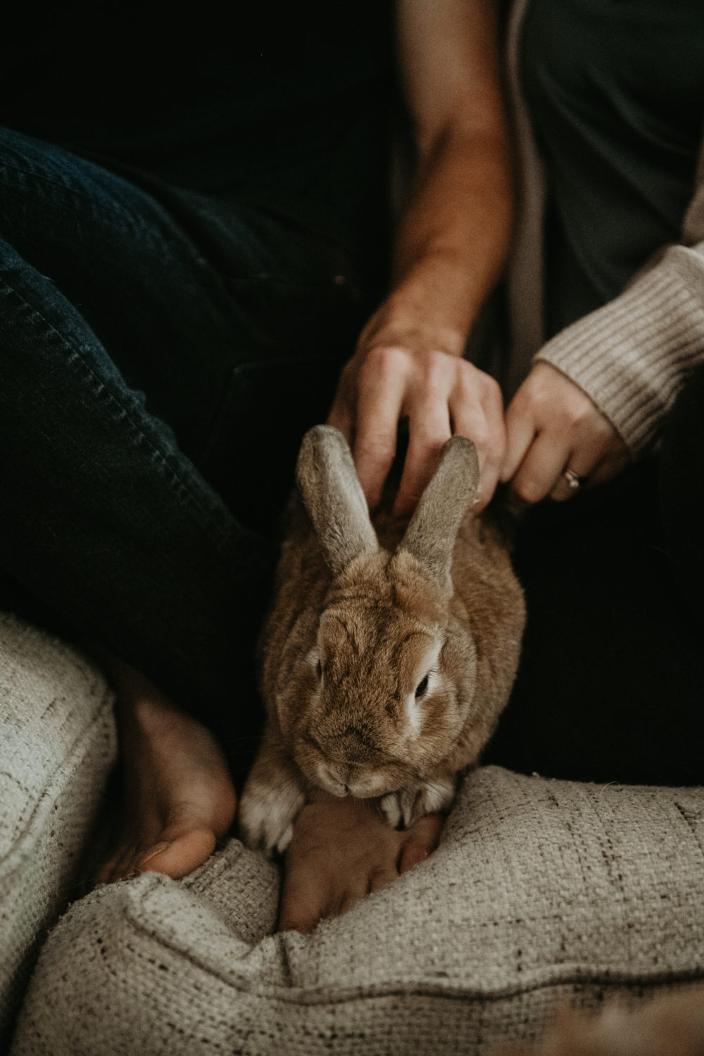 The Most romantic in home session - Washington elopement photographer