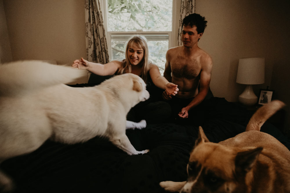 couples cozy morning in home session with dogs